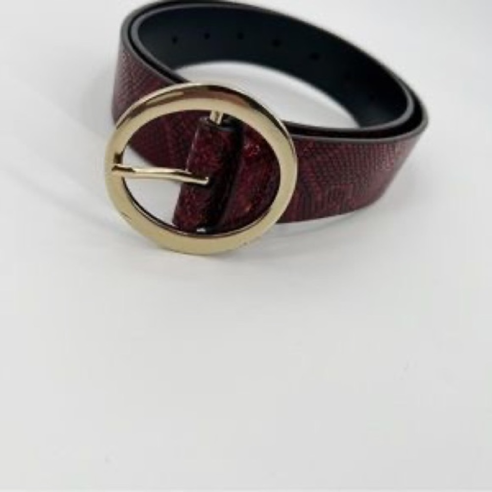 Aritzia Auxiliary Red Leather Belt
